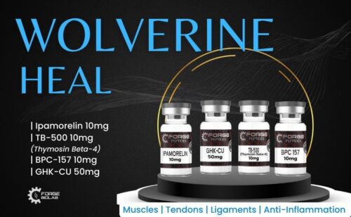 WOLVERINE HEAL
